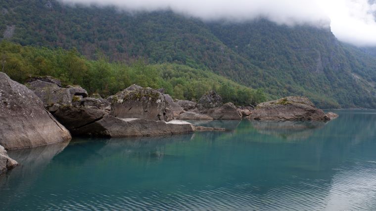 Mindfulness Norge Tanja