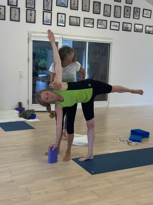 iyengar hold billede